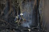 Wildfires "largely under control" in northeastern Japan on 7th day